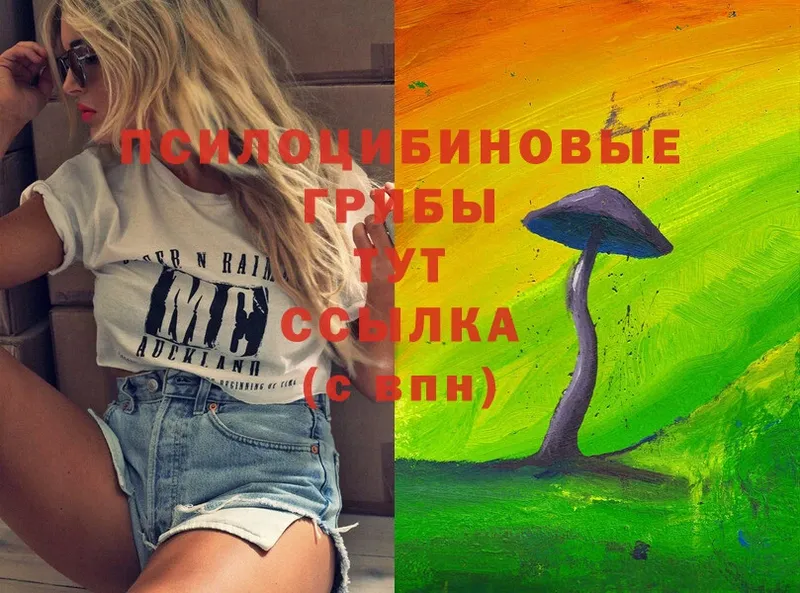 ОМГ ОМГ tor  Котовск  Галлюциногенные грибы Magic Shrooms  цена  